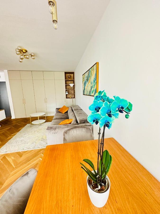 Bel Dom - The Central, Spacious 2 Rooms Luxury Apartment Cluj Napoca Bagian luar foto